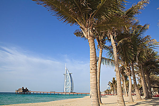 棕榈树,海滩,豪华酒店,背景,帆船酒店,迪拜,阿联酋