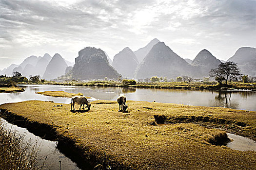 中国,风景
