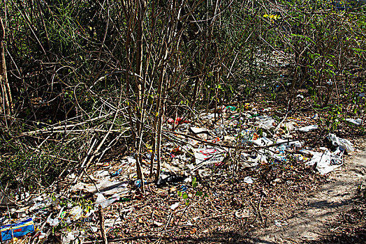 垃圾,洗,海洋,灌木丛,环境污染,小,岛屿,印度尼西亚,亚洲