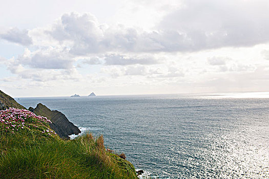风景,大西洋,海洋,岩石海岸,凯瑞郡,爱尔兰,欧洲