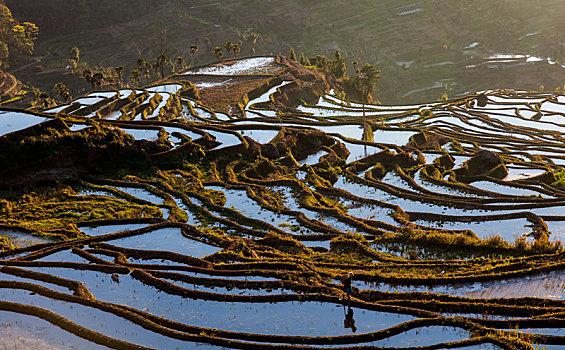 tin sheet roof factory