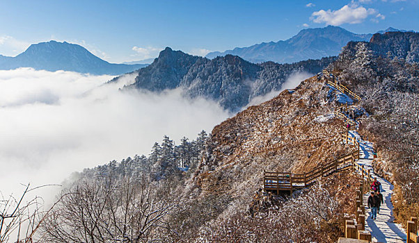 西岭雪山大雪的美丽风景