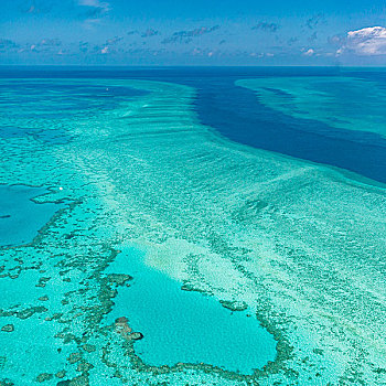大堡礁,俯视,昆士兰,澳大利亚,心形,礁石