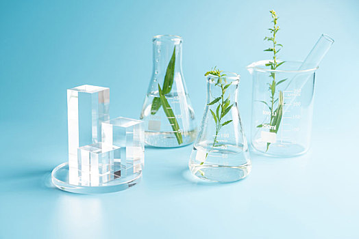 医疗及实验,科学研究中经常使用的玻璃器皿