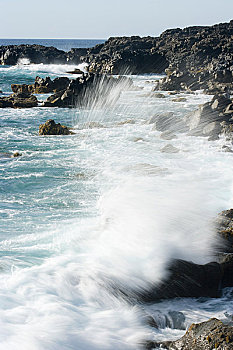 海洋,黑色,火山岩,石头,兰索罗特岛