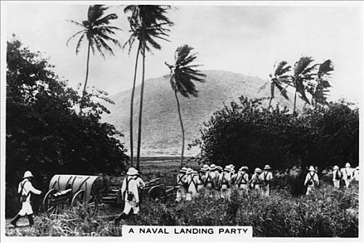 海军,降落,聚会,西印度群岛