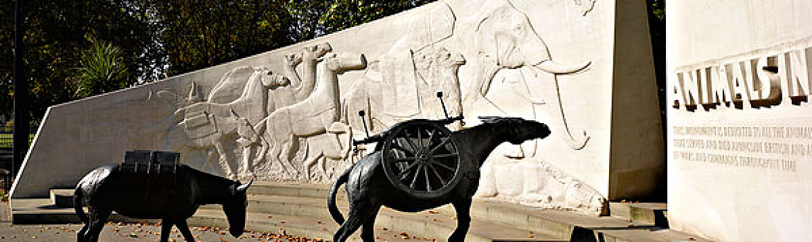 动物,战争纪念碑,海德公园,伦敦