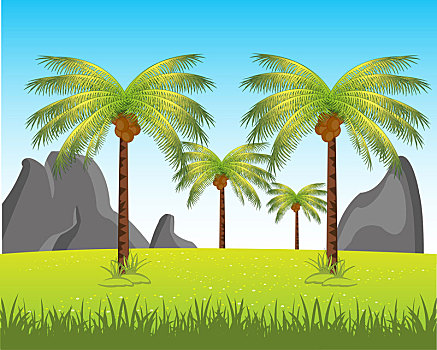 风景,棕榈树