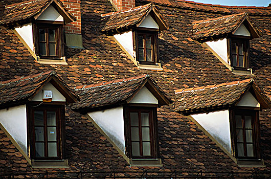 斯洛文尼亚,卢布尔雅那,老城,瓦屋顶,窗户