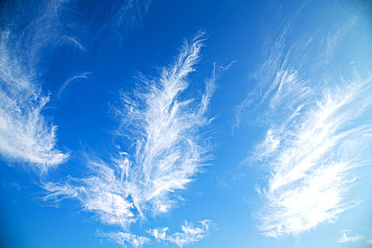 绒毛状,天空,云,留白,背景,概念