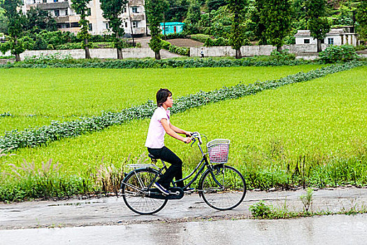 朝鲜人喜欢骑自行车出行成了名副其实的自行车王国