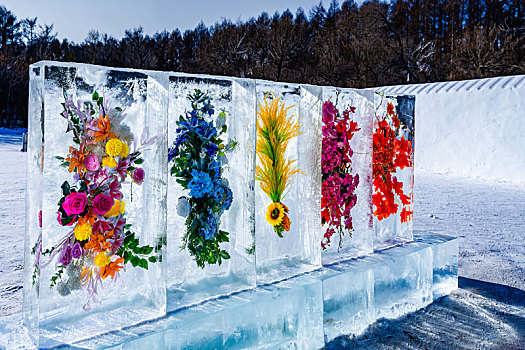 中国长春净月潭公园雪世界展出的冰花造型