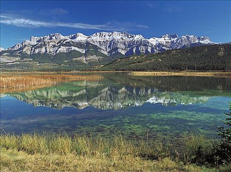 山,湖,反射,碧玉国家公园,艾伯塔省,加拿大,北美,世界遗产