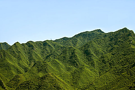 植被茂盛巍峨的青山和雄伟蜿蜒的长城