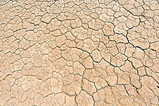 干燥,土地,缝隙,死谷,死亡谷国家公园,加利福尼亚,美国,北美