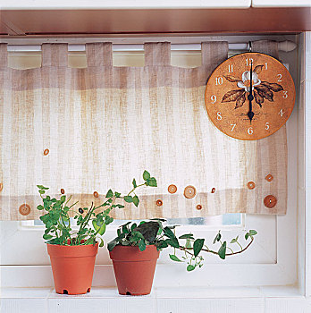 盆栽,窗,窗台