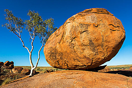 大理石,环境保护,自然保护区,北领地州,澳大利亚
