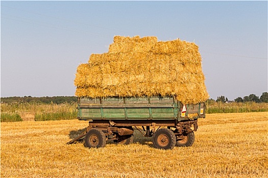 稻草,干草包,拖车