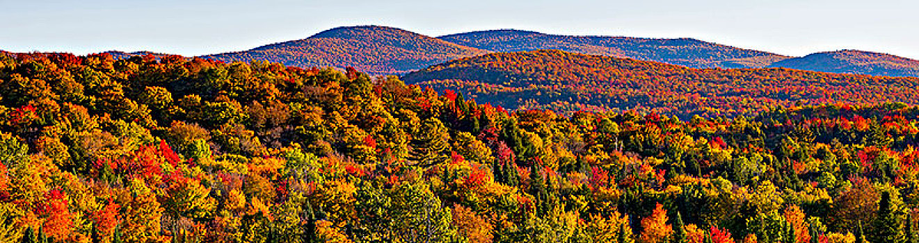秋天,群山,满,秋色,东方镇,西部,魁北克,加拿大,北美