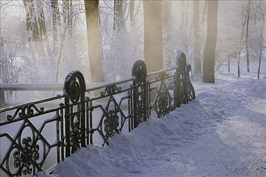 熟铁,护栏,雪中,遮盖,公园,木头,晨光,英式花园,冬天,慕尼黑,巴伐利亚,德国