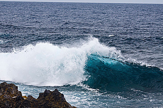 海浪,捕获,时间,毛伊岛,夏威夷