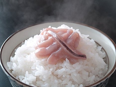 发酵,鱿鱼,米饭
