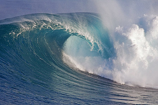波浪,海洋,毛伊岛,夏威夷,美国