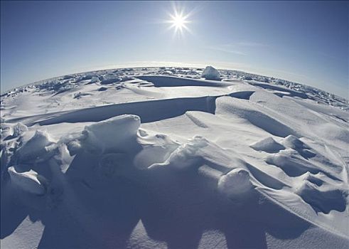 全景,积雪,风景,格陵兰
