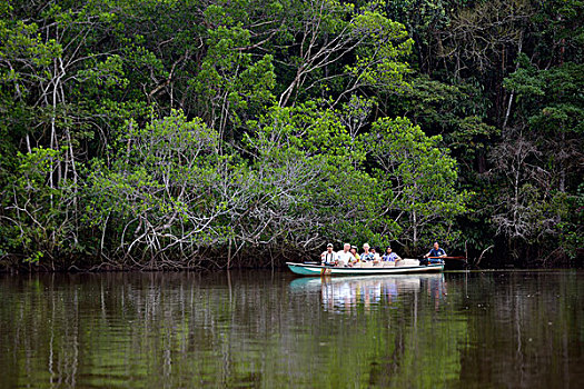 厄瓜多尔,河,旅游,注视,独木舟,亚马逊河,住宿,大幅,尺寸
