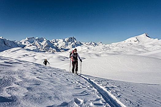 滑雪,旅游,上升,自然公园,白云岩,后面,区域,右边,省,南