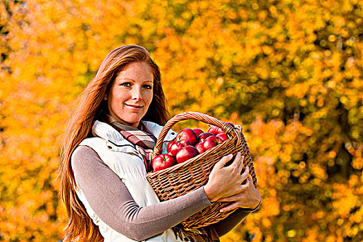 秋天,女人,柳条篮,收获,苹果