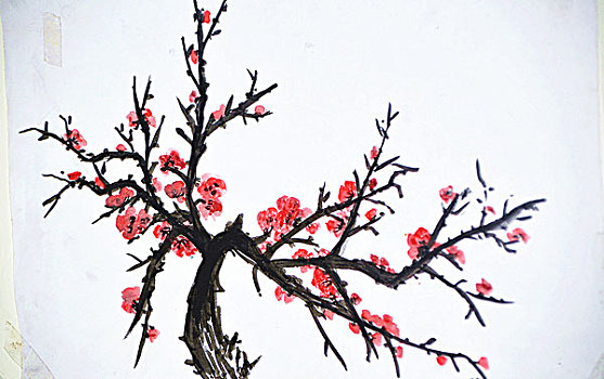 梅花,繪畫,圖畫,作品,藝術(shù)品,藝術(shù)