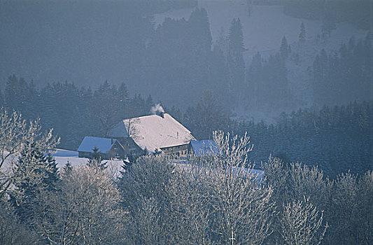 房子,树林,雪,德国
