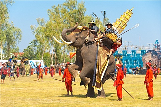 泰国,国王,大象,向上,后腿