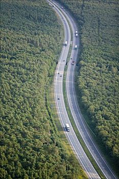 高速公路,树林