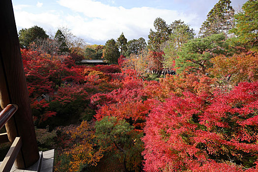 日本京都东福寺