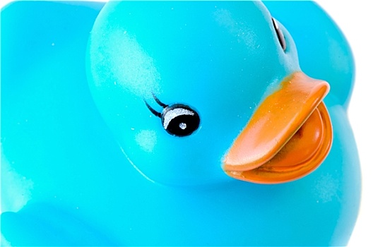 蓝色,塑料鸭子