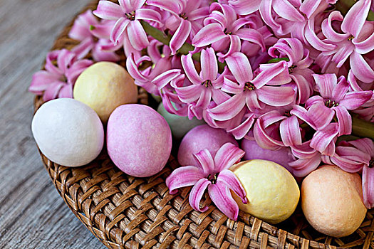 风信子,花,复活节彩蛋