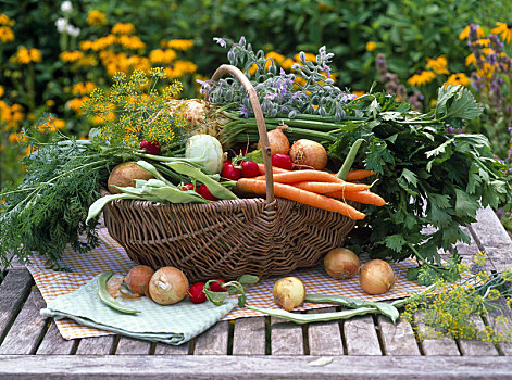 静物,蔬菜,药草,葱属植物