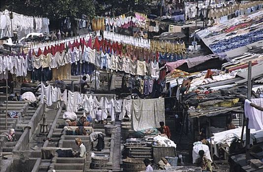 大,洗衣服,地区,孟买,印度
