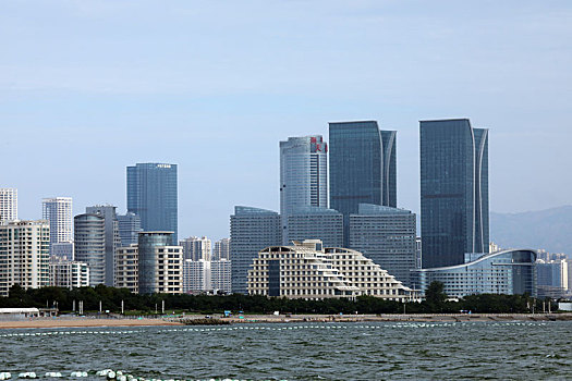 日照海龙湾成为海鸥乐园,或盘旋翱翔或休憩嬉戏成为靓丽风景线