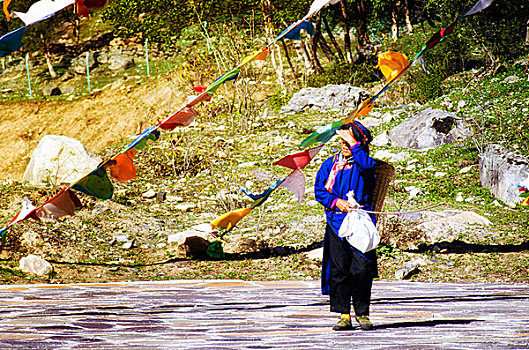 阳光下的藏族妇女