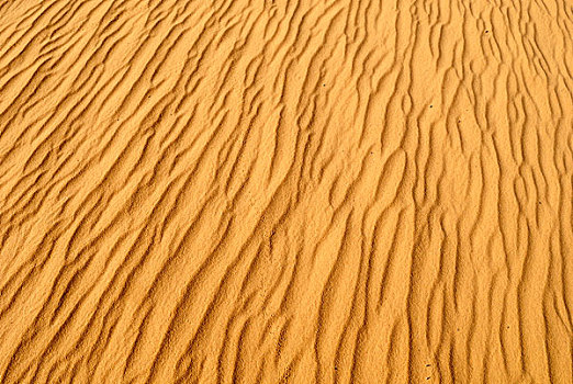 表面,沙丘,阿尔及利亚,撒哈拉沙漠,北非
