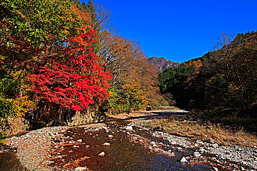 秋叶,城堡,蓝天