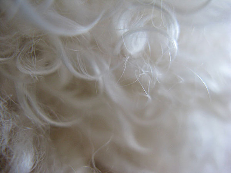 纤维图片_纤维高清图片_全景视觉