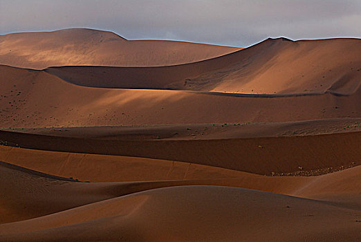 纳米比亚,国家公园,沙漠,晨雾,索苏维来地区,沙丘