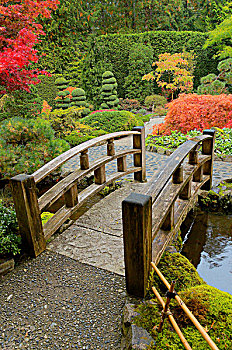 小桥,上方,河流,秋色,日式庭园,宝翠花园,温哥华岛,不列颠哥伦比亚省,加拿大