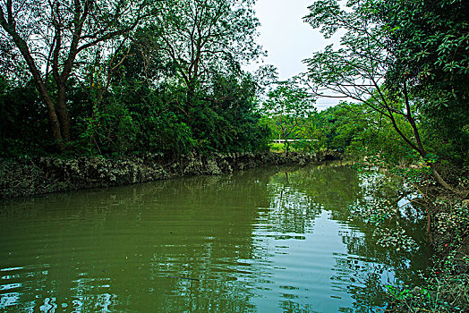 小河,小溪,无建筑