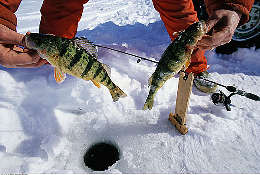 冰上钓鱼