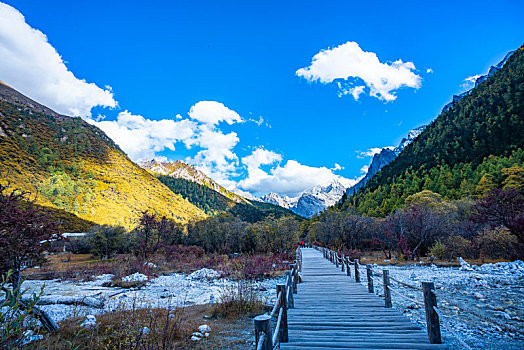 稻城亚丁秋色,秋季风光,高原雪山摄影,四川,甘孜州,秋天风景,自然风光摄影,仙乃日,央迈勇,夏诺多吉,三大神山,2020年1